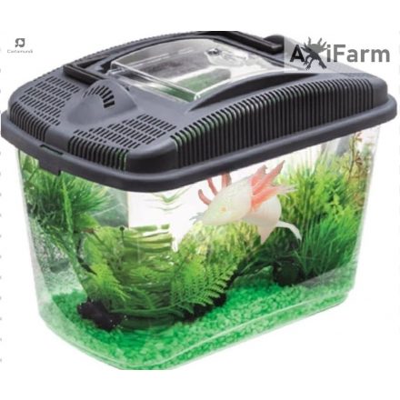 AquaEl szállító Box- szállító doboz axolotlnak - 3liter (23,7x15,4x17,3cm)